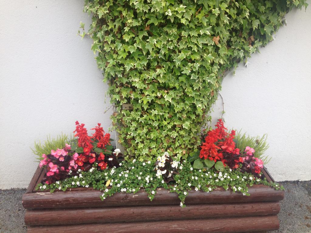 Carragh House Bed & Breakfast Castlebar Exterior photo